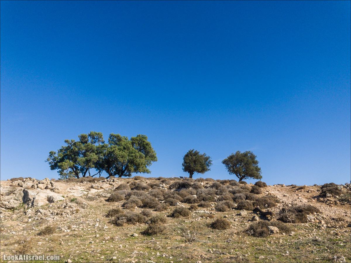 Внедорожное путешествие к Тель Цафит и окрестностям Шфелы | LookAtIsrael.com - Фото путешествия по Израилю