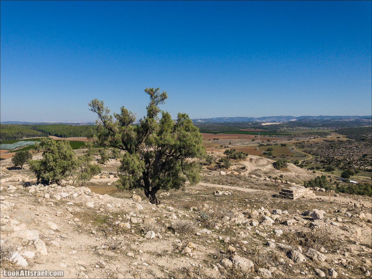 Внедорожное путешествие к Тель Цафит и окрестностям Шфелы | LookAtIsrael.com - Фото путешествия по Израилю