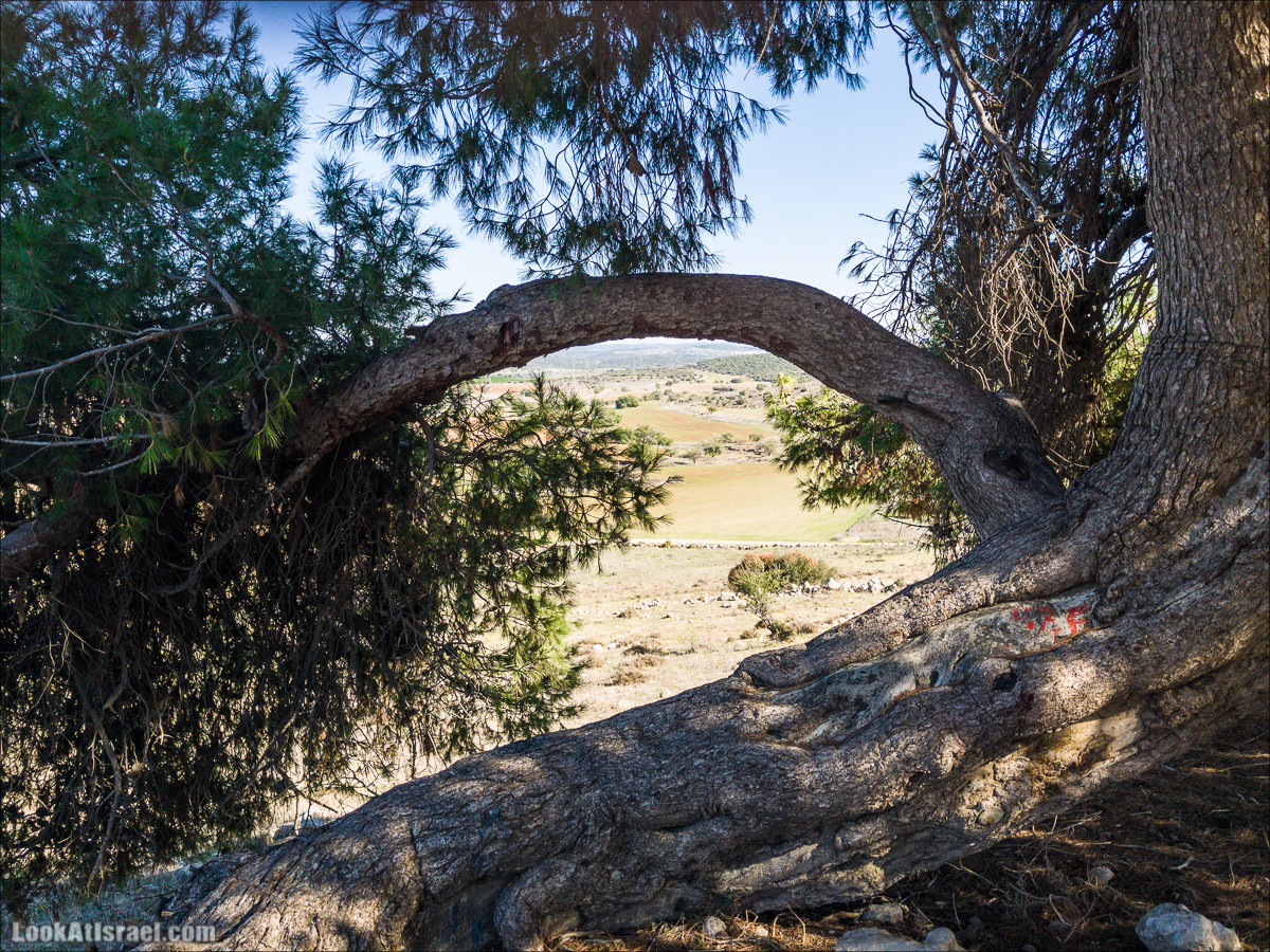 Внедорожное путешествие к Тель Цафит и окрестностям Шфелы | LookAtIsrael.com - Фото путешествия по Израилю