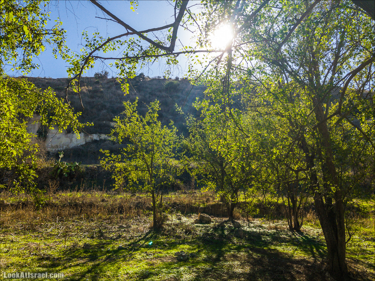 Внедорожное путешествие к Тель Цафит и окрестностям Шфелы | LookAtIsrael.com - Фото путешествия по Израилю