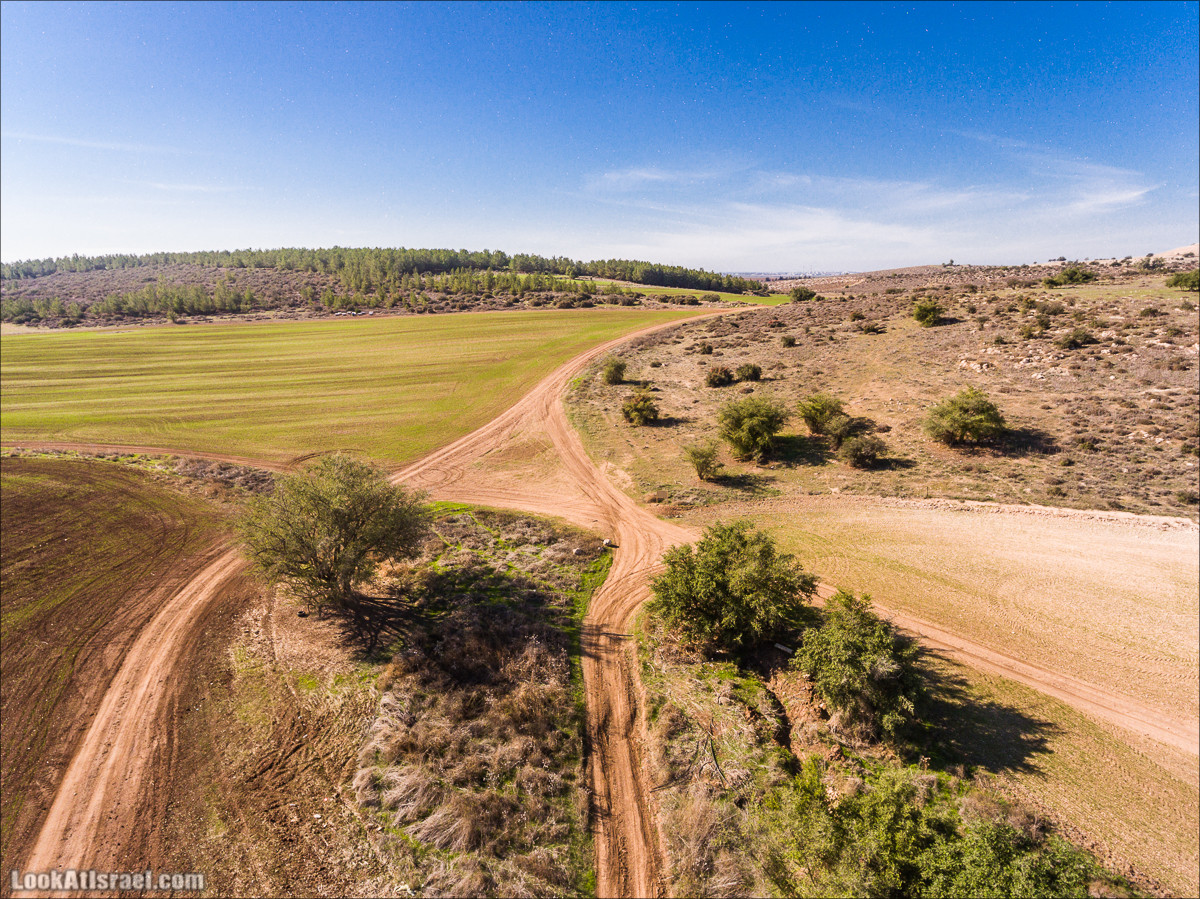 Внедорожное путешествие к Тель Цафит и окрестностям Шфелы | LookAtIsrael.com - Фото путешествия по Израилю