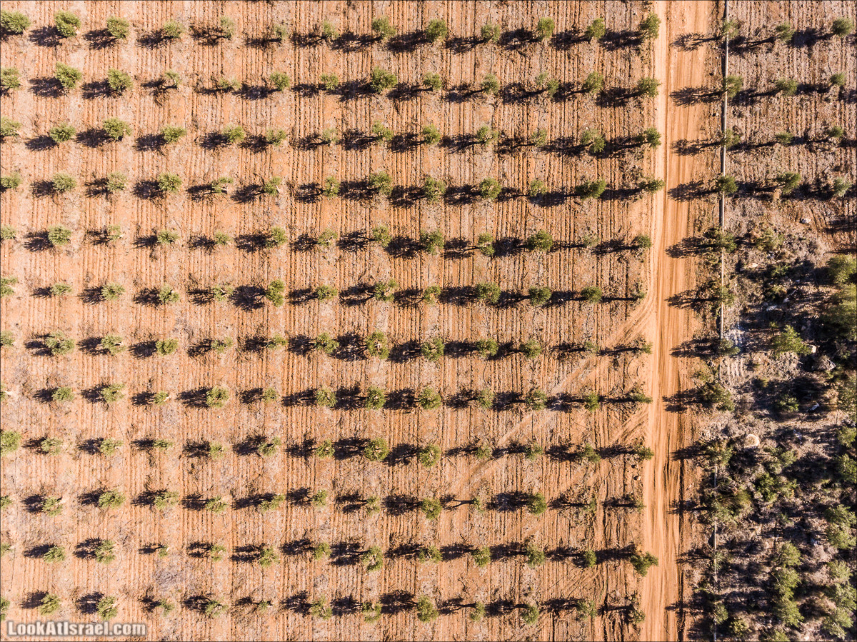 Внедорожное путешествие к Тель Цафит и окрестностям Шфелы | LookAtIsrael.com - Фото путешествия по Израилю