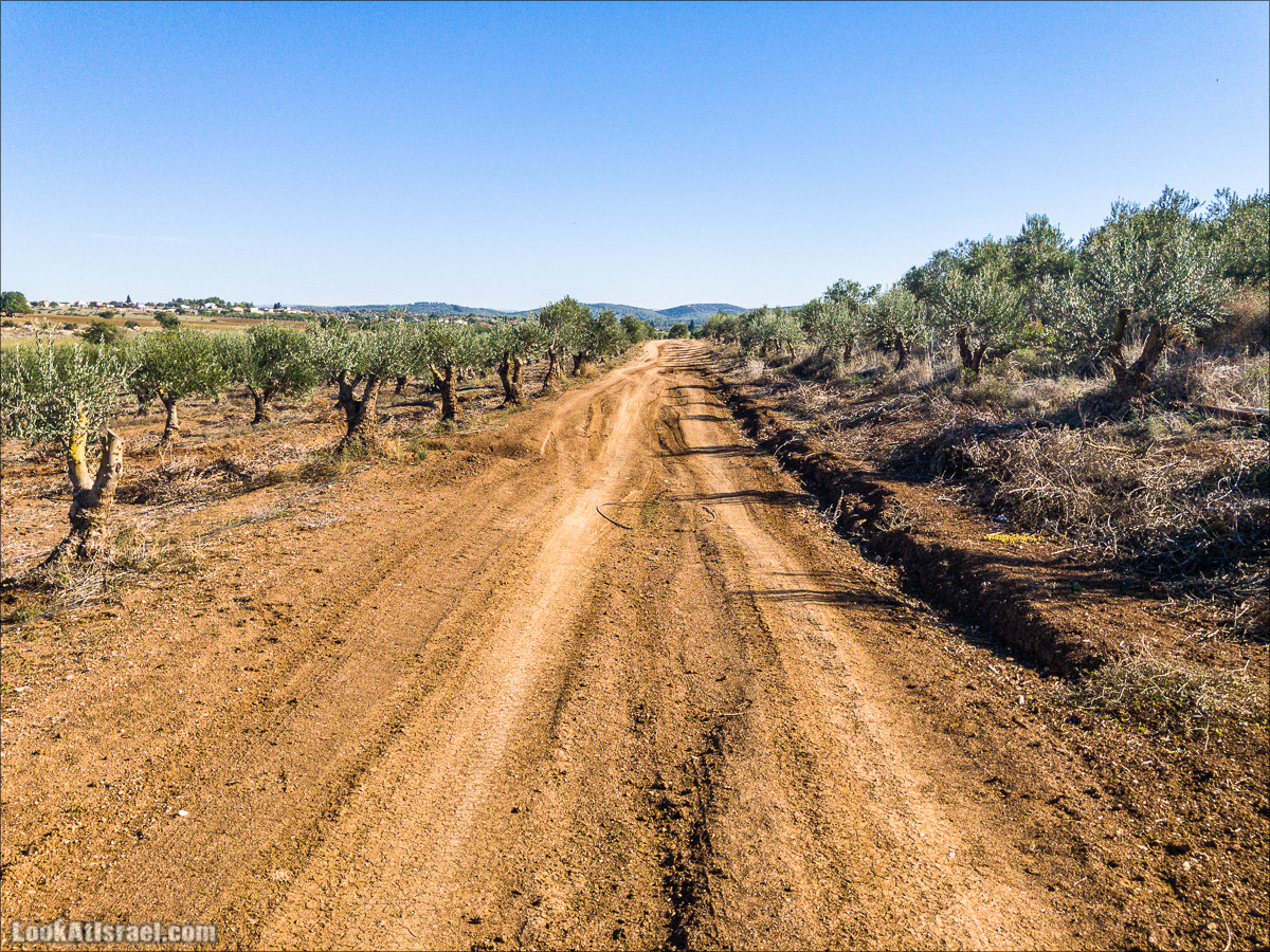 Внедорожное путешествие к Тель Цафит и окрестностям Шфелы | LookAtIsrael.com - Фото путешествия по Израилю