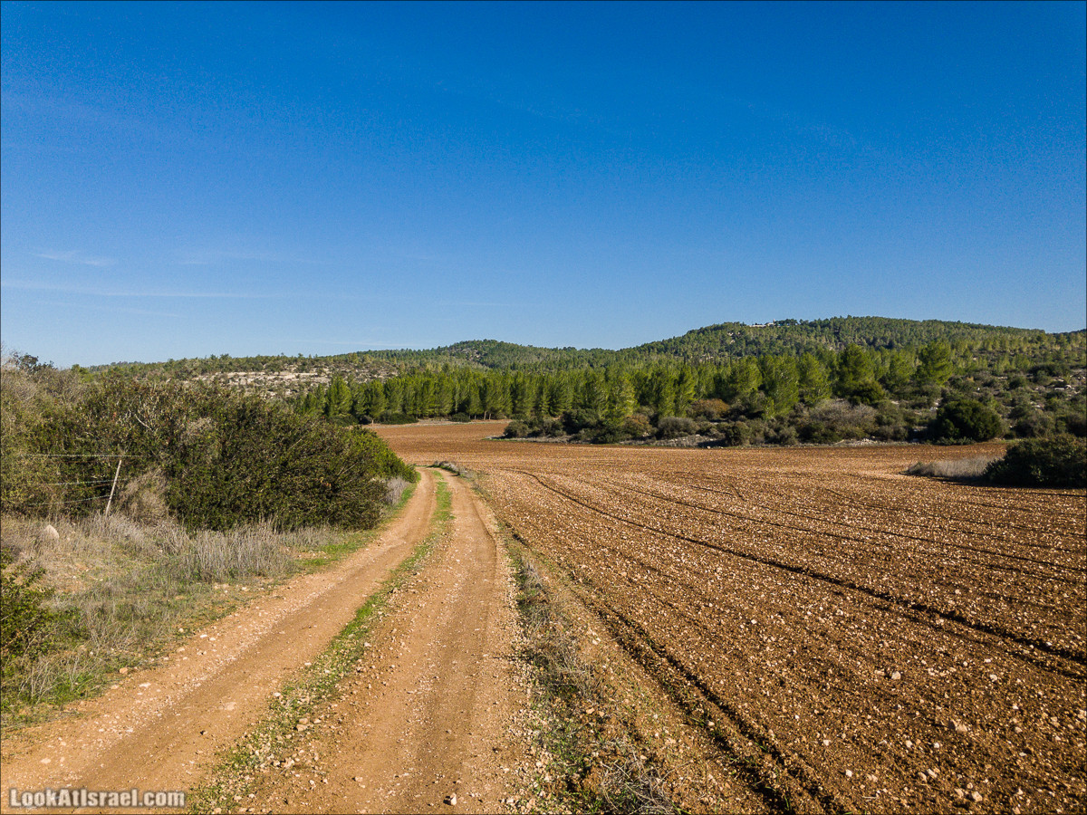 Внедорожное путешествие к Тель Цафит и окрестностям Шфелы | LookAtIsrael.com - Фото путешествия по Израилю