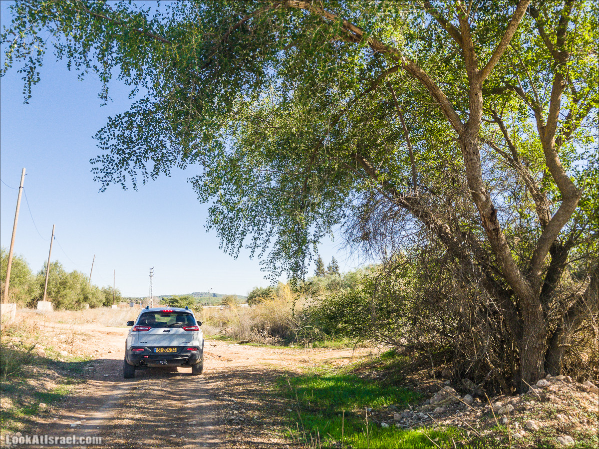 Внедорожное путешествие к Тель Цафит и окрестностям Шфелы | LookAtIsrael.com - Фото путешествия по Израилю