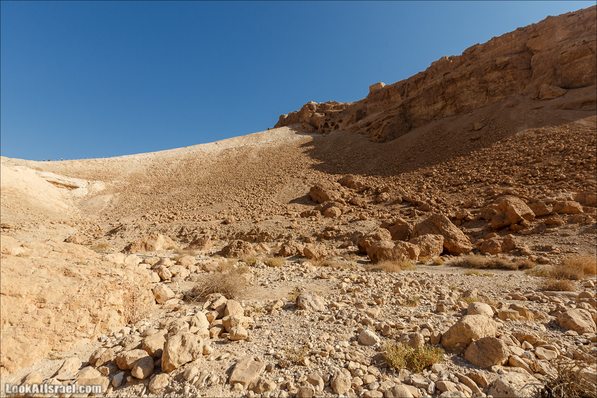 Подъём по змеиной тропе, рассвет над Массадой, гора Эльазар и прогулка по пустыне до Нахаль Рахаф | LookAtIsrael.com - Фото путешествия по Израилю