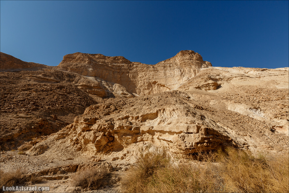 Подъём по змеиной тропе, рассвет над Массадой, гора Эльазар и прогулка по пустыне до Нахаль Рахаф | LookAtIsrael.com - Фото путешествия по Израилю