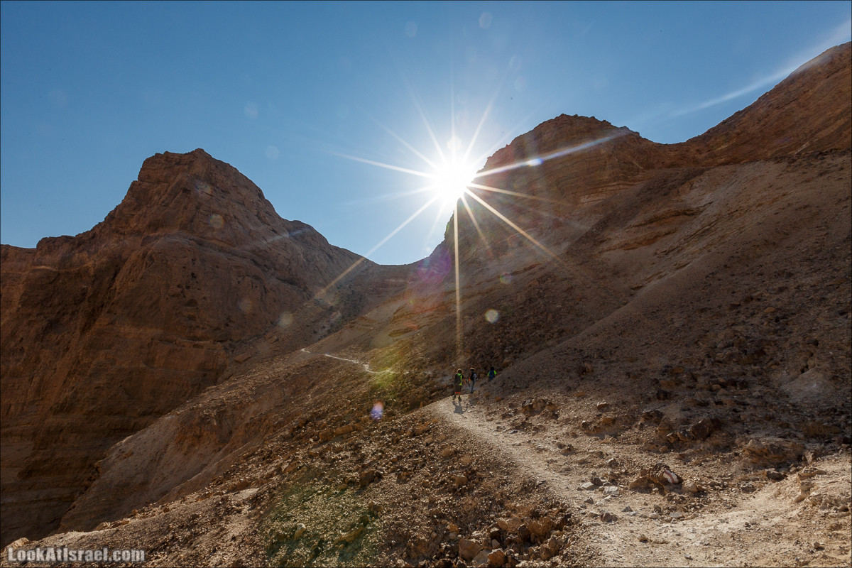 Подъём по змеиной тропе, рассвет над Массадой, гора Эльазар и прогулка по пустыне до Нахаль Рахаф | LookAtIsrael.com - Фото путешествия по Израилю
