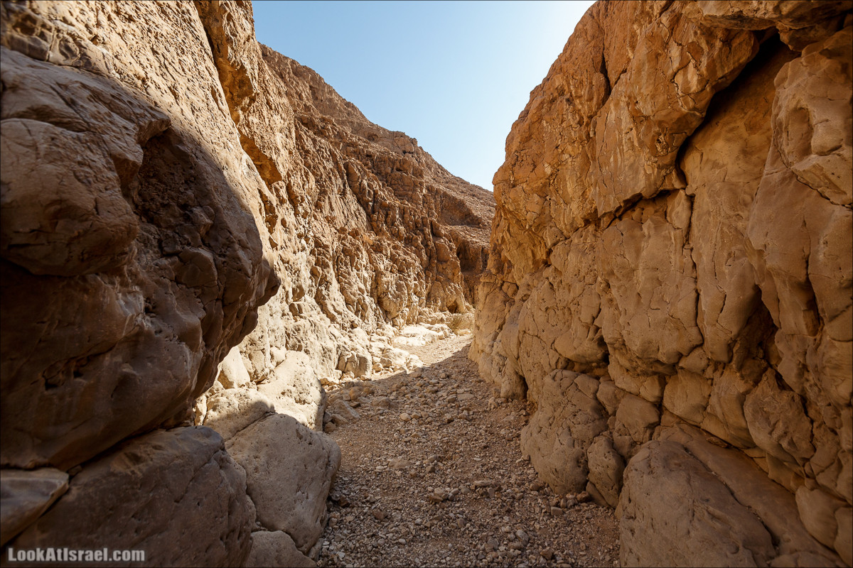 Подъём по змеиной тропе, рассвет над Массадой, гора Эльазар и прогулка по пустыне до Нахаль Рахаф | LookAtIsrael.com - Фото путешествия по Израилю