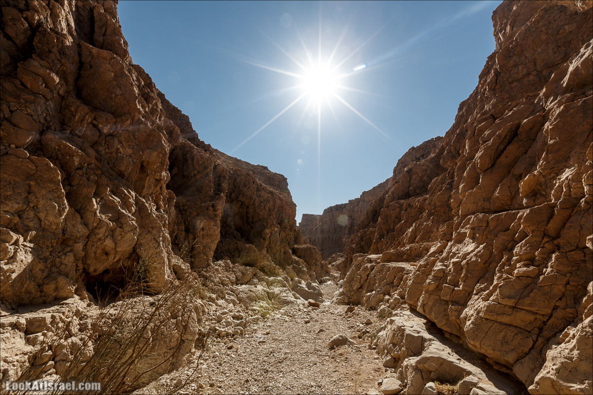 Подъём по змеиной тропе, рассвет над Массадой, гора Эльазар и прогулка по пустыне до Нахаль Рахаф | LookAtIsrael.com - Фото путешествия по Израилю