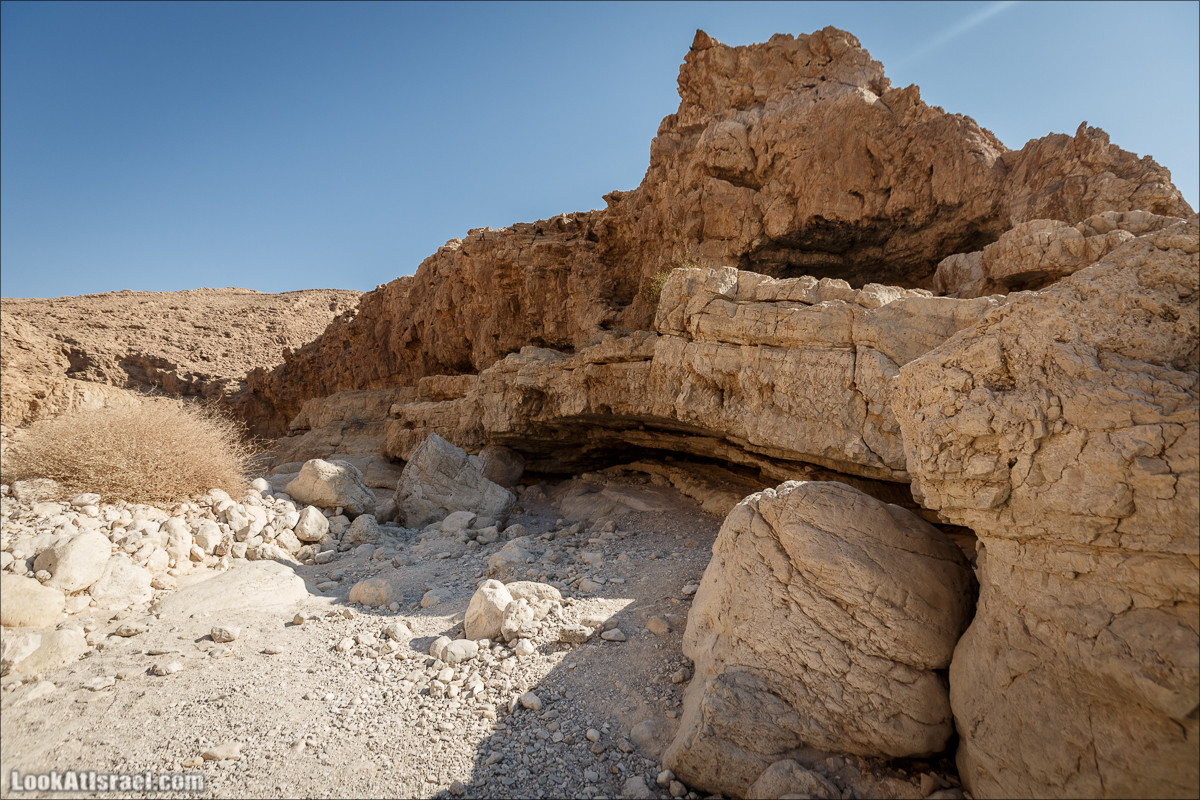 Подъём по змеиной тропе, рассвет над Массадой, гора Эльазар и прогулка по пустыне до Нахаль Рахаф | LookAtIsrael.com - Фото путешествия по Израилю