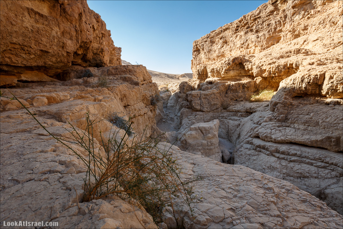 Подъём по змеиной тропе, рассвет над Массадой, гора Эльазар и прогулка по пустыне до Нахаль Рахаф | LookAtIsrael.com - Фото путешествия по Израилю