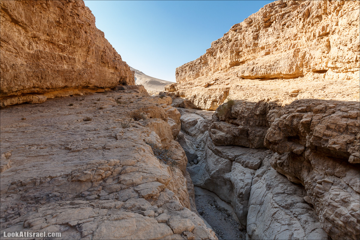 Подъём по змеиной тропе, рассвет над Массадой, гора Эльазар и прогулка по пустыне до Нахаль Рахаф | LookAtIsrael.com - Фото путешествия по Израилю