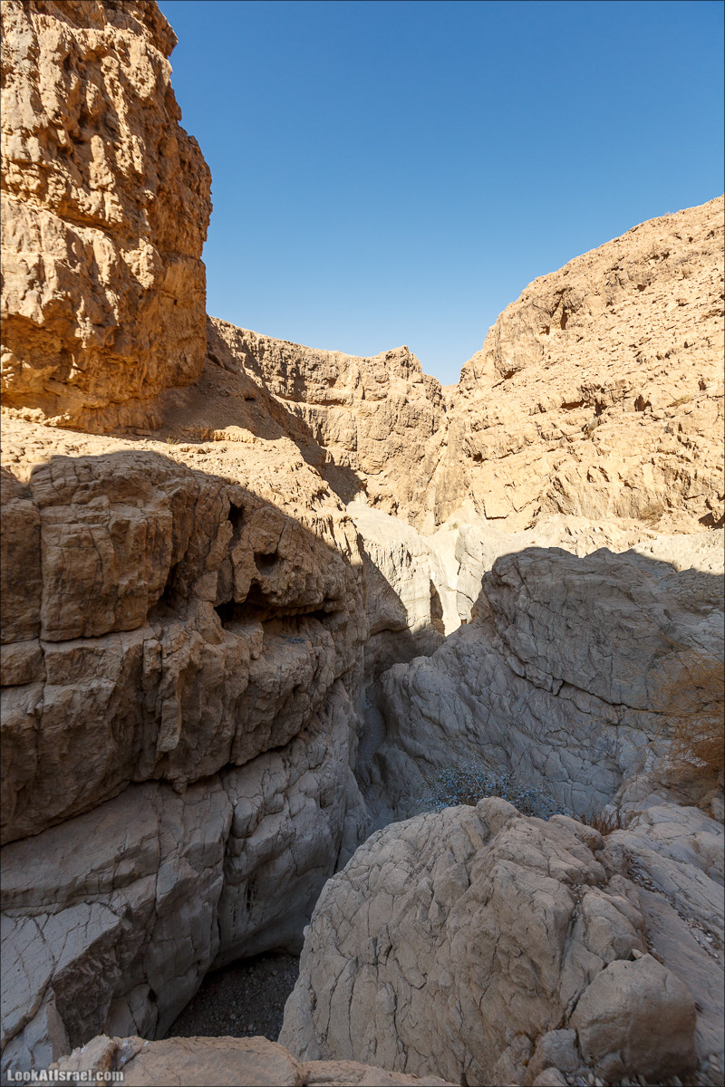 Подъём по змеиной тропе, рассвет над Массадой, гора Эльазар и прогулка по пустыне до Нахаль Рахаф | LookAtIsrael.com - Фото путешествия по Израилю