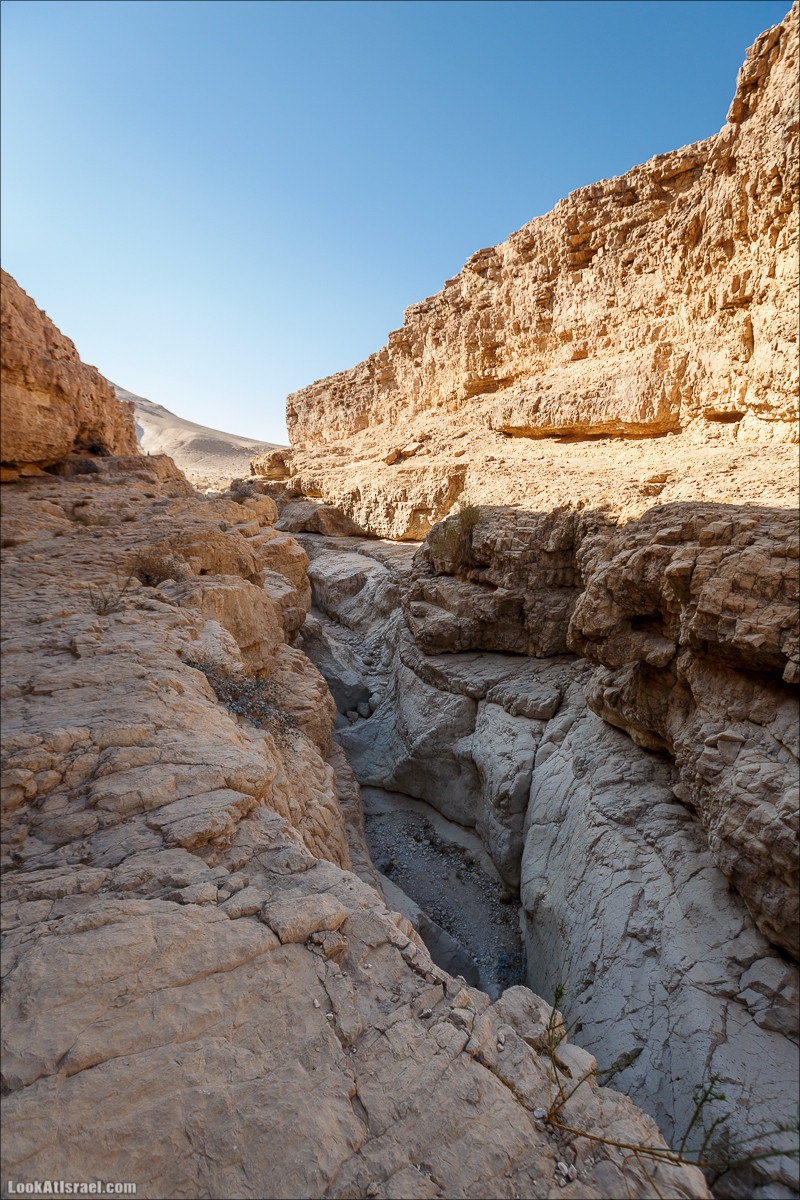 Подъём по змеиной тропе, рассвет над Массадой, гора Эльазар и прогулка по пустыне до Нахаль Рахаф | LookAtIsrael.com - Фото путешествия по Израилю