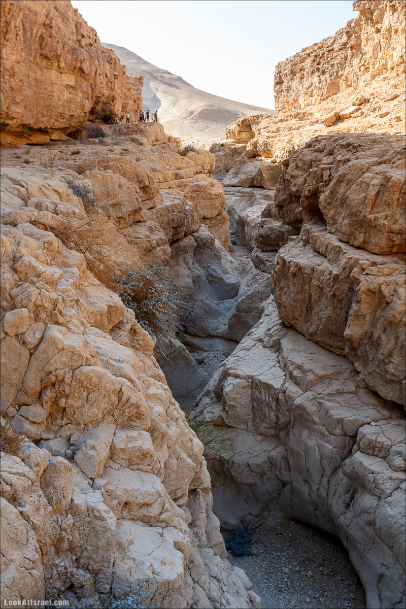 Подъём по змеиной тропе, рассвет над Массадой, гора Эльазар и прогулка по пустыне до Нахаль Рахаф | LookAtIsrael.com - Фото путешествия по Израилю