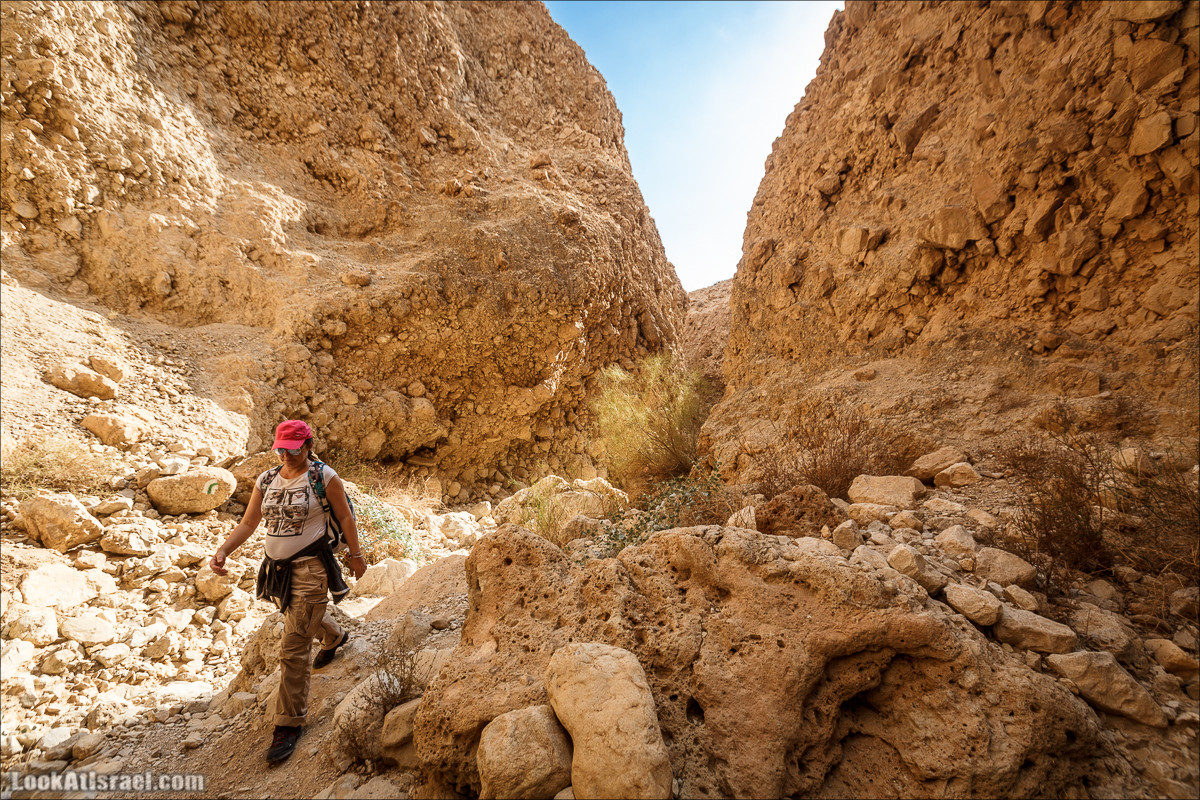 Ущелье Сальвадора | Wadi Salvadora | ואדי סלבדורה | LookAtIsrael.com - Фото путешествия по Израилю