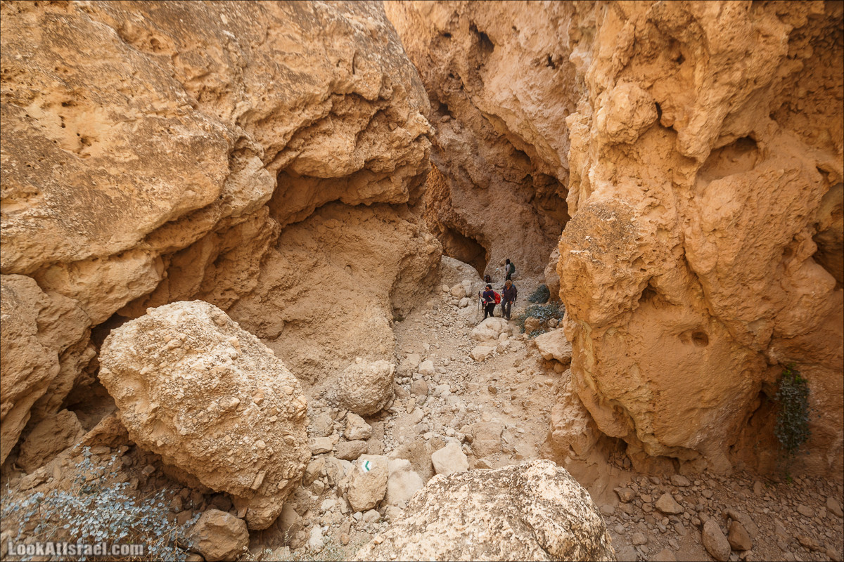 Ущелье Сальвадора | Wadi Salvadora | ואדי סלבדורה | LookAtIsrael.com - Фото путешествия по Израилю