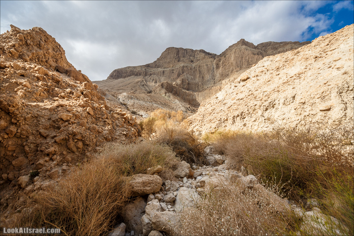 Ущелье Сальвадора | Wadi Salvadora | ואדי סלבדורה | LookAtIsrael.com - Фото путешествия по Израилю