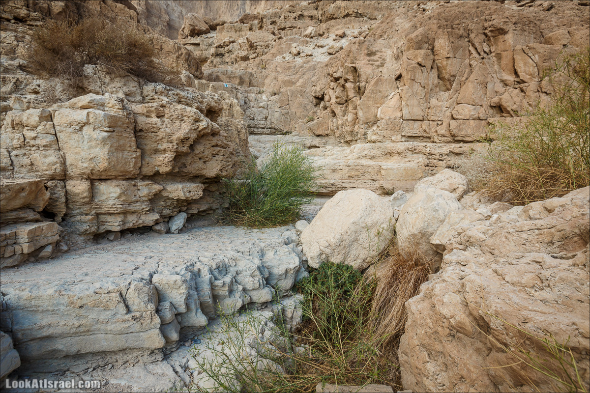 Ущелье Сальвадора | Wadi Salvadora | ואדי סלבדורה | LookAtIsrael.com - Фото путешествия по Израилю