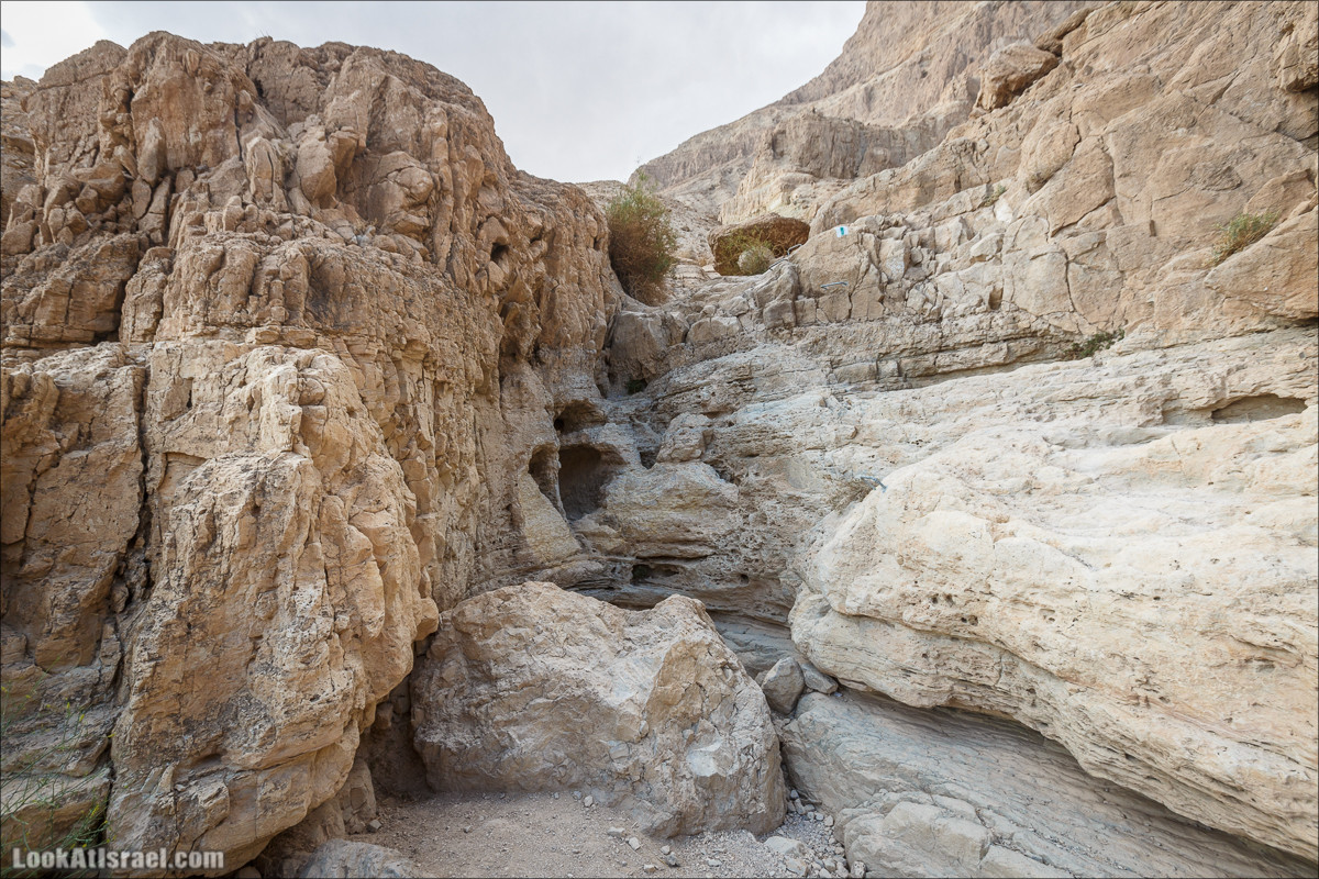 Ущелье Сальвадора | Wadi Salvadora | ואדי סלבדורה | LookAtIsrael.com - Фото путешествия по Израилю