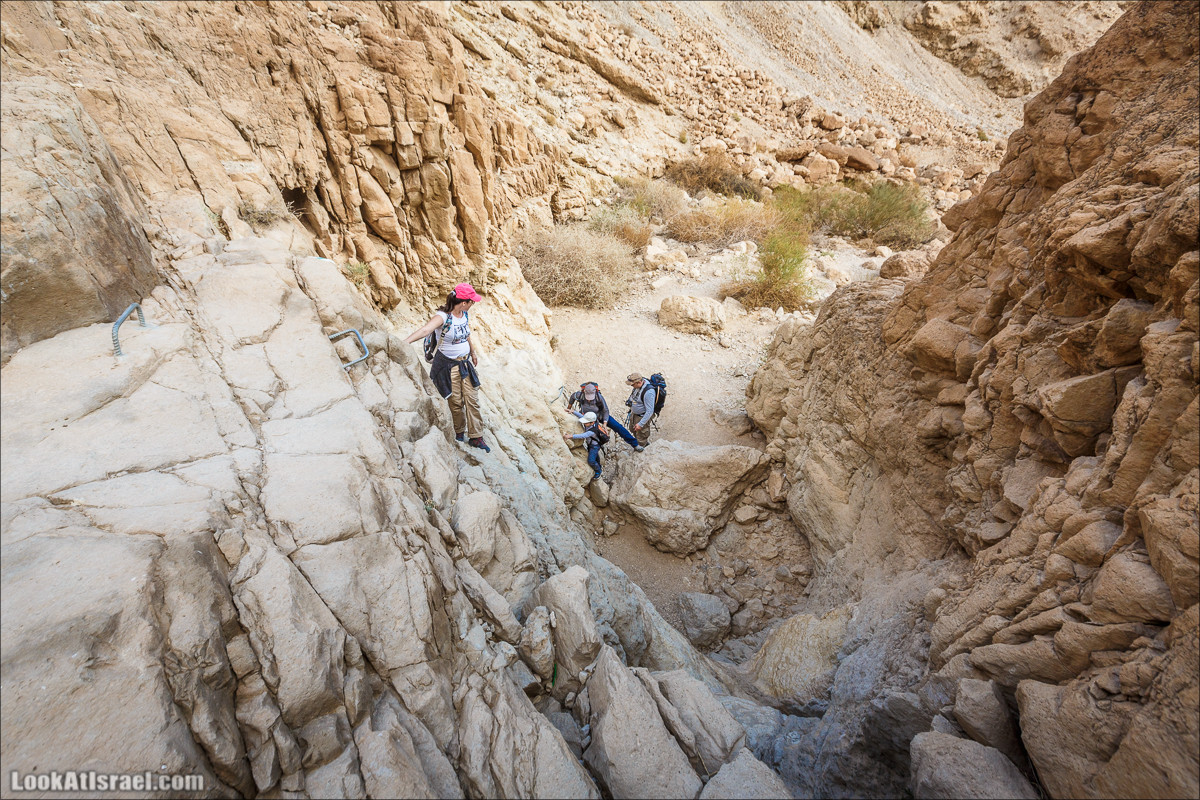 Ущелье Сальвадора | Wadi Salvadora | ואדי סלבדורה | LookAtIsrael.com - Фото путешествия по Израилю