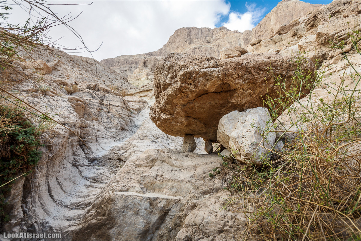 Ущелье Сальвадора | Wadi Salvadora | ואדי סלבדורה | LookAtIsrael.com - Фото путешествия по Израилю