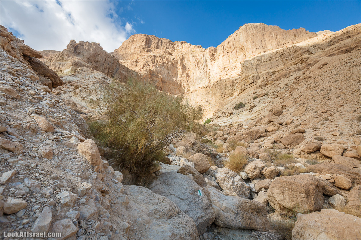 Ущелье Сальвадора | Wadi Salvadora | ואדי סלבדורה | LookAtIsrael.com - Фото путешествия по Израилю