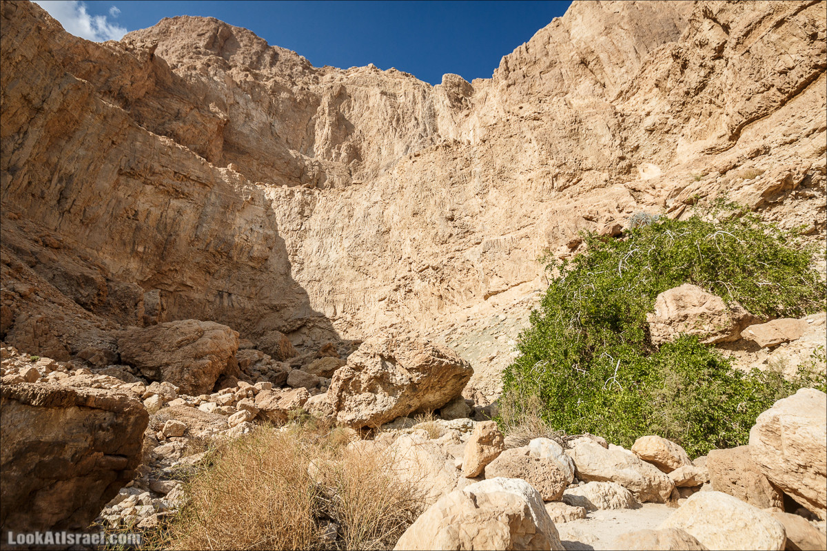 Ущелье Сальвадора | Wadi Salvadora | ואדי סלבדורה | LookAtIsrael.com - Фото путешествия по Израилю