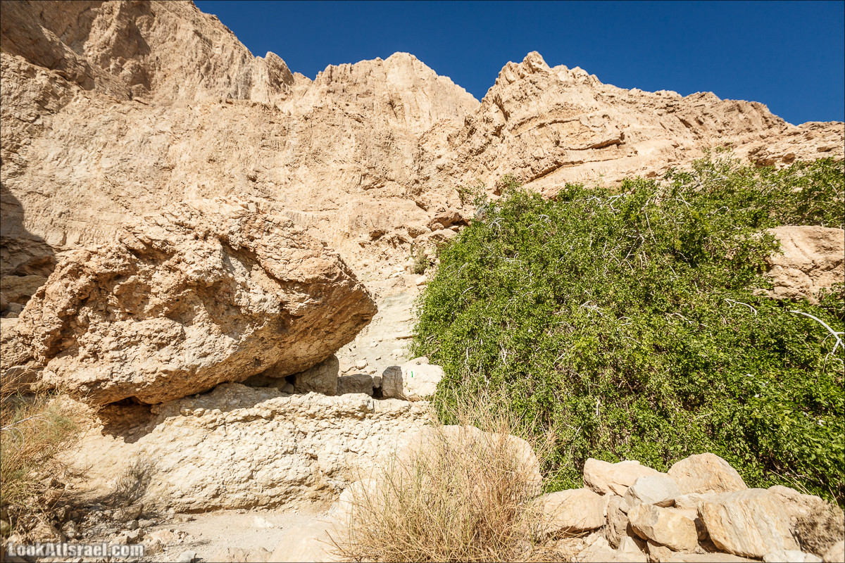 Ущелье Сальвадора | Wadi Salvadora | ואדי סלבדורה | LookAtIsrael.com - Фото путешествия по Израилю