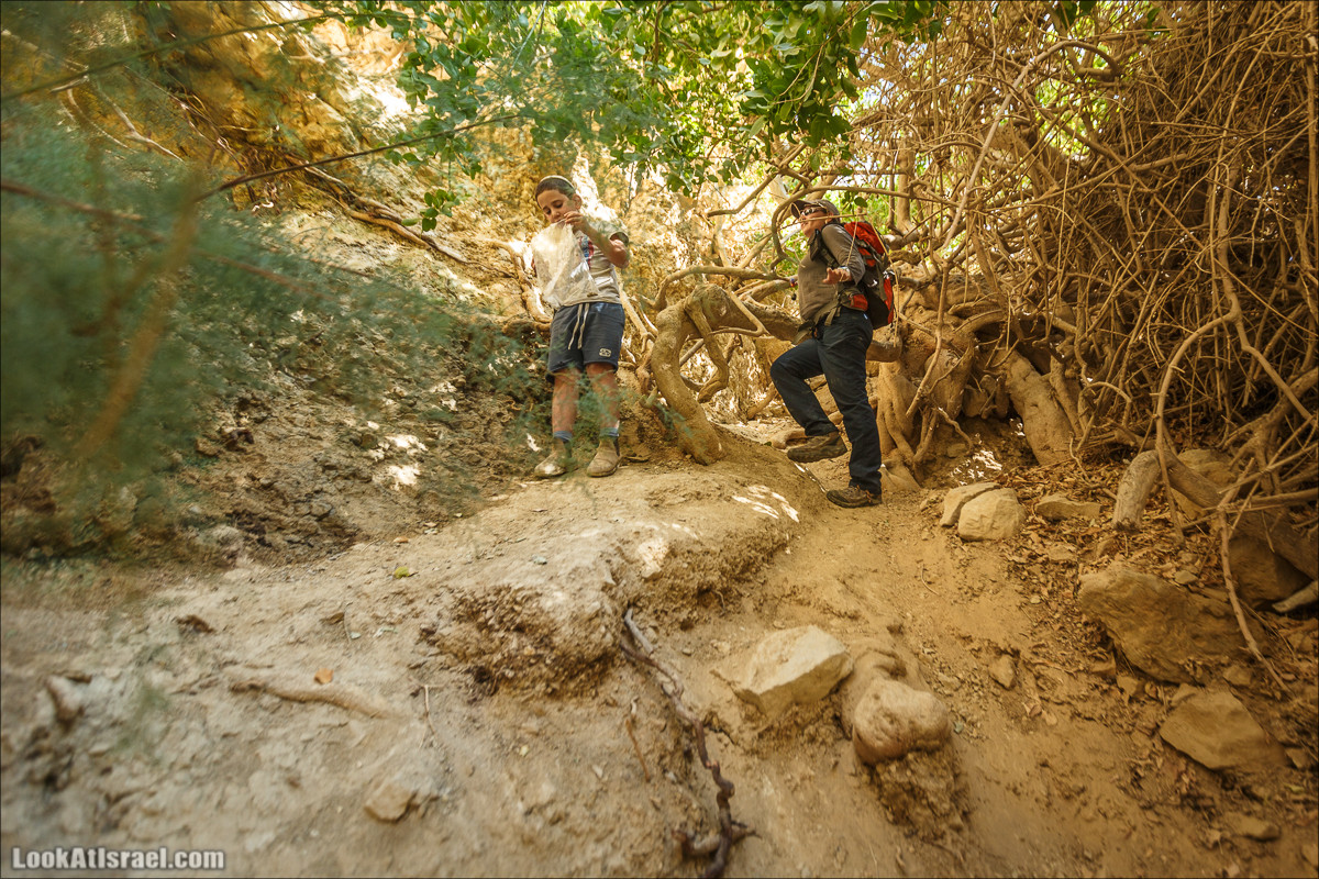 Ущелье Сальвадора | Wadi Salvadora | ואדי סלבדורה | LookAtIsrael.com - Фото путешествия по Израилю