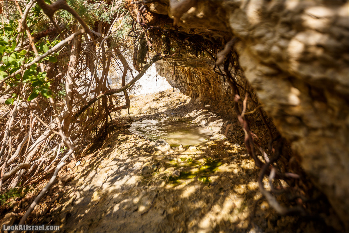 Ущелье Сальвадора | Wadi Salvadora | ואדי סלבדורה | LookAtIsrael.com - Фото путешествия по Израилю