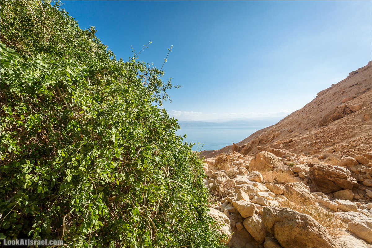 Ущелье Сальвадора | Wadi Salvadora | ואדי סלבדורה | LookAtIsrael.com - Фото путешествия по Израилю