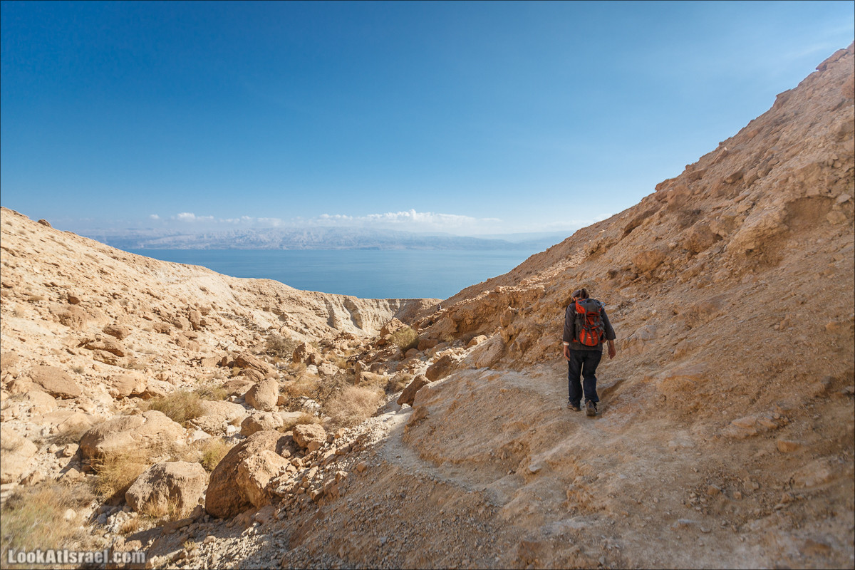 Ущелье Сальвадора | Wadi Salvadora | ואדי סלבדורה | LookAtIsrael.com - Фото путешествия по Израилю