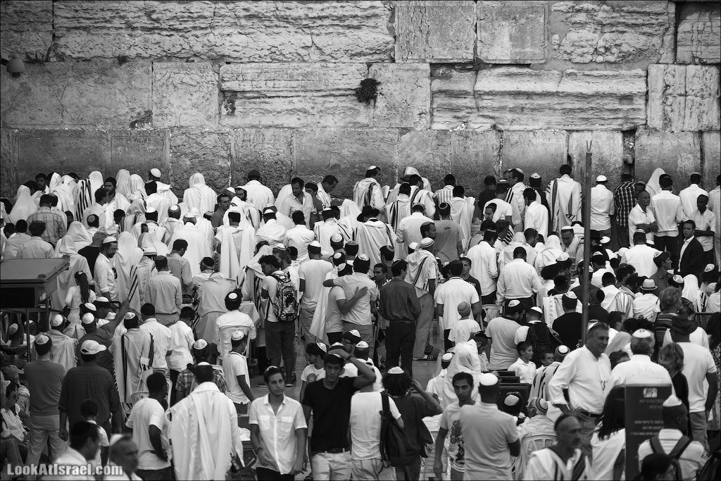 Одно фото после приговора