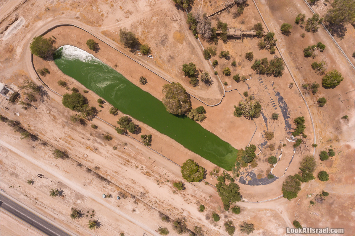 Одно фото озера крокодилов