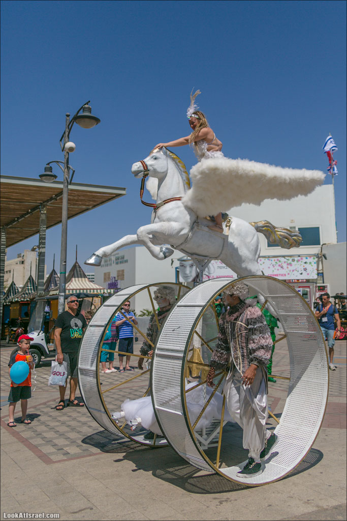 Случайные фотографии из жизни Эйлата | LookAtIsrael.com - Фото путешествия по Израилю