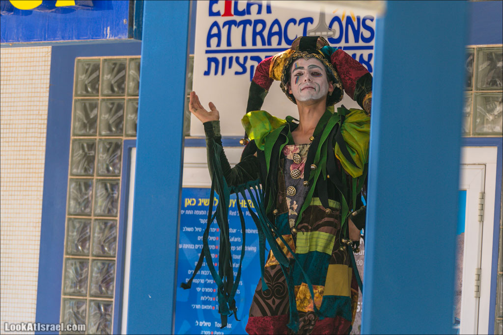 Случайные фотографии из жизни Эйлата | LookAtIsrael.com - Фото путешествия по Израилю