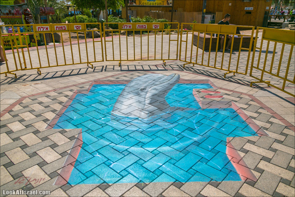 Случайные фотографии из жизни Эйлата | LookAtIsrael.com - Фото путешествия по Израилю