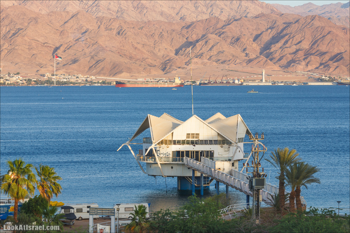 Случайные фотографии из жизни Эйлата | LookAtIsrael.com - Фото путешествия по Израилю