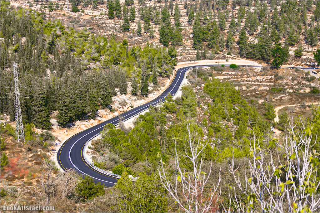 Крошки Иерусалима - случайные фотографии из жизни столицы Израиля | LookAtIsrael.com - Фото путешествия по Израилю