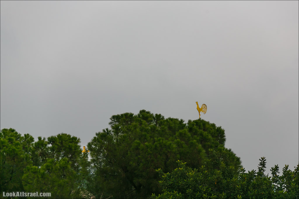 Крошки Иерусалима - случайные фотографии из жизни столицы Израиля | LookAtIsrael.com - Фото путешествия по Израилю