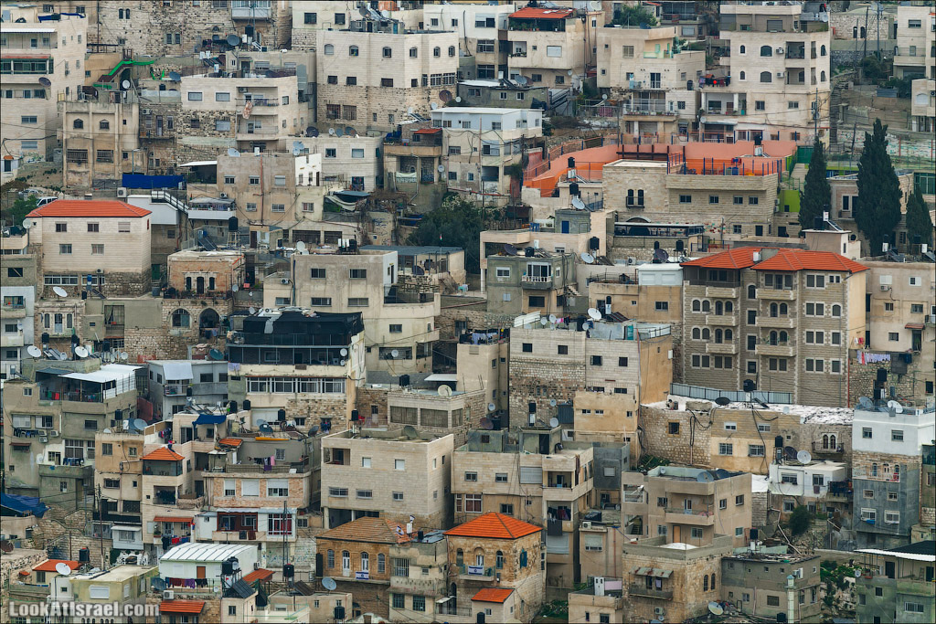 Крошки Иерусалима - случайные фотографии из жизни столицы Израиля | LookAtIsrael.com - Фото путешествия по Израилю
