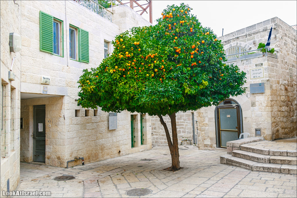Крошки Иерусалима - случайные фотографии из жизни столицы Израиля | LookAtIsrael.com - Фото путешествия по Израилю
