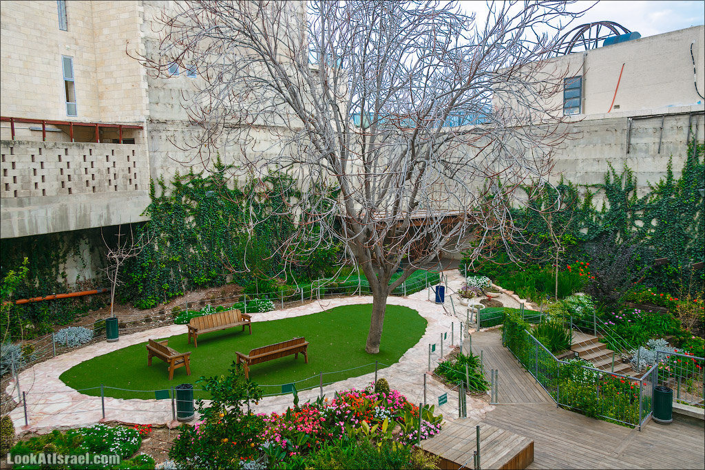 Крошки Иерусалима - случайные фотографии из жизни столицы Израиля | LookAtIsrael.com - Фото путешествия по Израилю