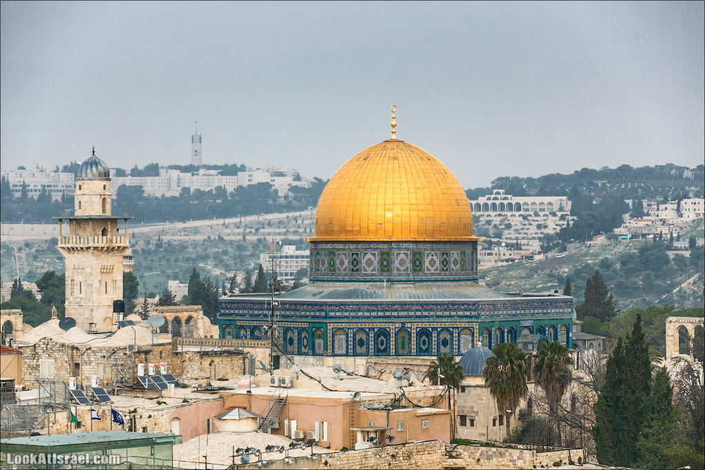 Крошки Иерусалима - случайные фотографии из жизни столицы Израиля | LookAtIsrael.com - Фото путешествия по Израилю