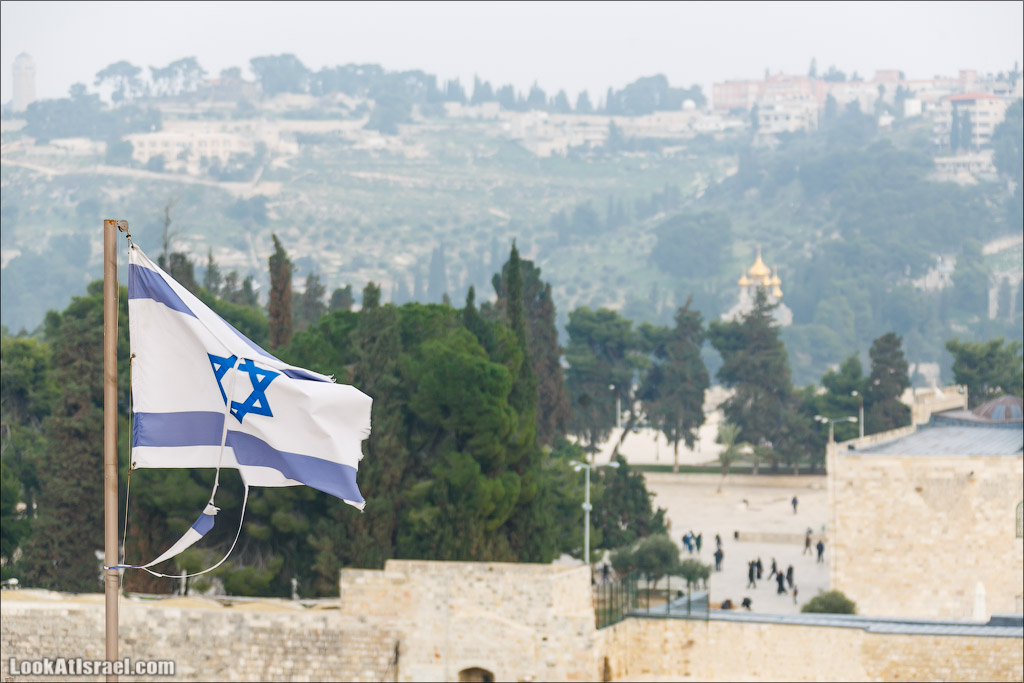 Крошки Иерусалима - случайные фотографии из жизни столицы Израиля | LookAtIsrael.com - Фото путешествия по Израилю