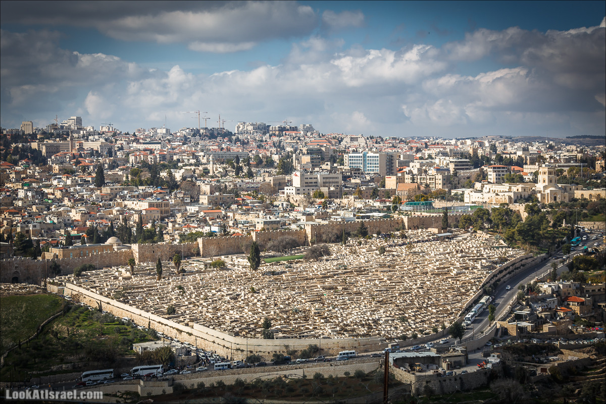 Крошки Иерусалима - случайные фотографии из жизни столицы Израиля | LookAtIsrael.com - Фото путешествия по Израилю