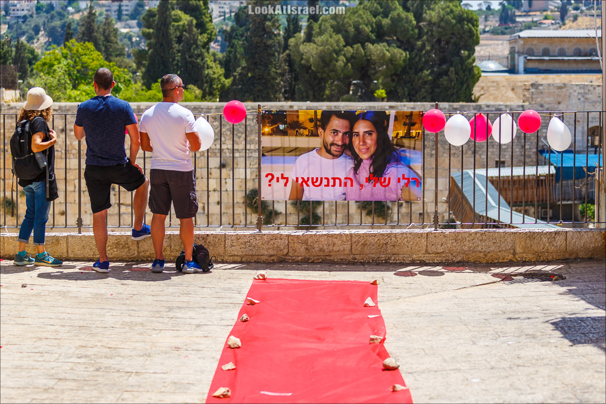 Крошки Иерусалима - случайные фотографии из жизни столицы Израиля | LookAtIsrael.com - Фото путешествия по Израилю