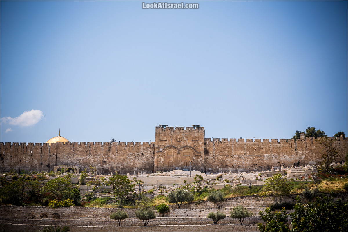 Крошки Иерусалима - случайные фотографии из жизни столицы Израиля | LookAtIsrael.com - Фото путешествия по Израилю